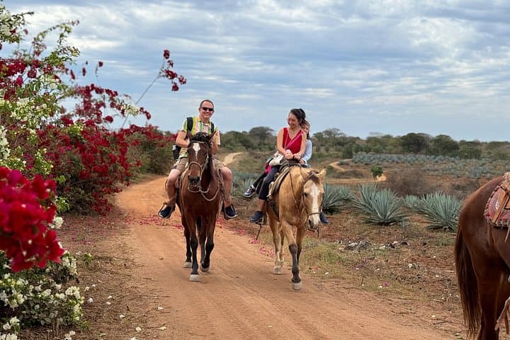 Mazatlán ATV and Horseback Riding Combo: Beach, Agave & Mezcal Ranch Tour photo 4