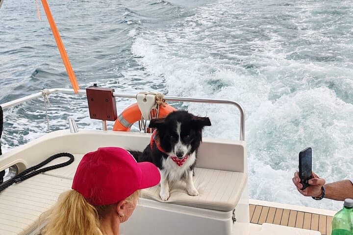 Private Pula Sunset Dolphin Cruise — Brijuni Evening Boat Tour photo 2