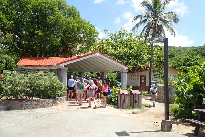 Hike and Snorkel Honeymoon Beach — Lind Point Trail Adventure in St. John photo 5