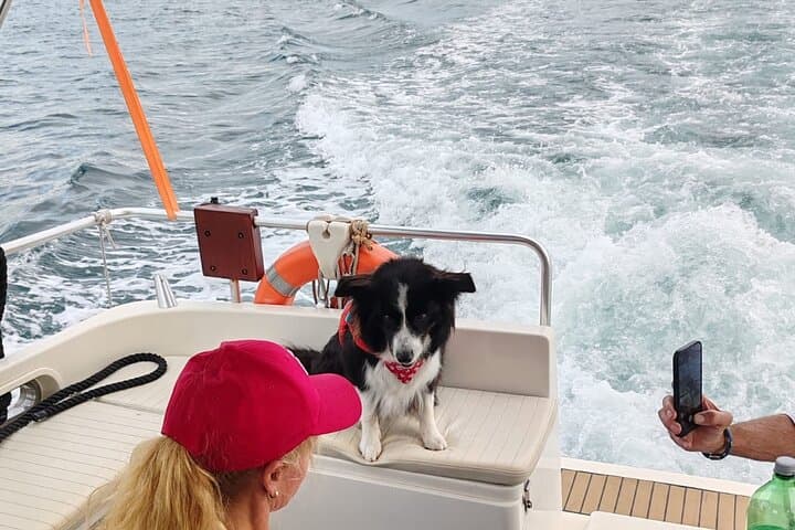 Private Half-Day Boat Excursion from Pula — Brijuni Islands & Sunken Ship Snorkel photo 5