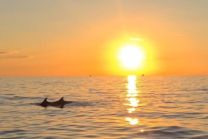 Private Half-Day Boat Excursion from Pula — Brijuni Islands & Sunken Ship Snorkel photo 6