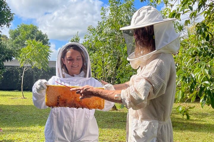 Inside the Hive: Kauai Honey & Bee Tour at Lydgate Farms photo 2