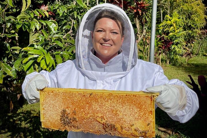 Inside the Hive: Kauai Honey & Bee Tour at Lydgate Farms