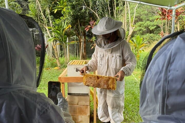 Inside the Hive: Kauai Honey & Bee Tour at Lydgate Farms photo 6