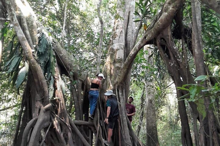 Amazonian Full Exploration: 4-Day Iquitos Jungle Expedition photo 3
