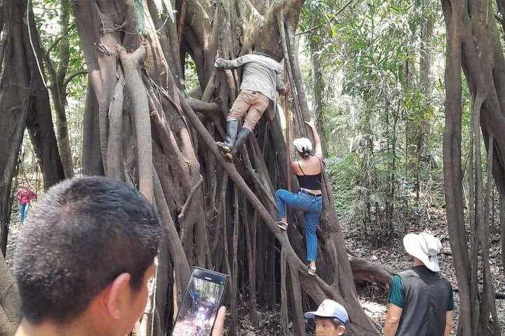 Amazonian Full Exploration: 4-Day Iquitos Jungle Expedition photo 5
