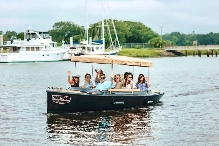 Savannah Private Electric Boat Charter: Luxury Captained Salt Marsh Cruise