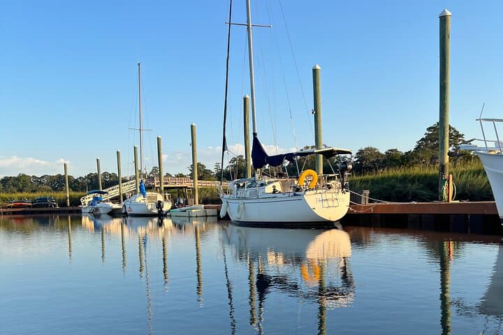 Savannah Private Electric Boat Charter: Luxury Captained Salt Marsh Cruise photo 6