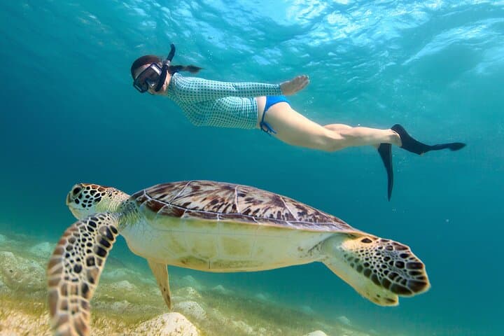 Cas Cay Kayak, Hike & Snorkel – Mangrove Lagoon Adventure from St. Thomas