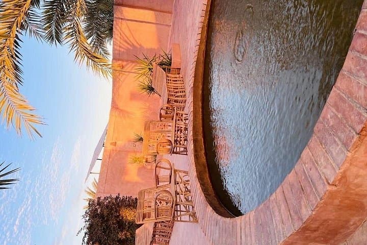 2-Day Private Siwa Oasis Tour from Cairo — Sand Seas, Salt Lakes & Ancient Oracle photo 6
