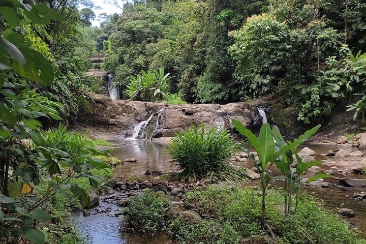 Bribri Chocolate & Waterfall Experience: Indigenous Cacao Tour Near Puerto Viejo photo 3