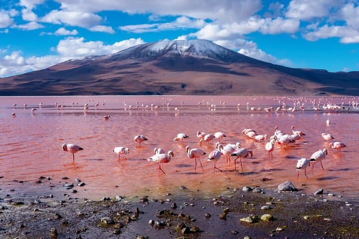 Salar de Uyuni 3-Day Salt Flats & Andean Lagoons Adventure photo 5