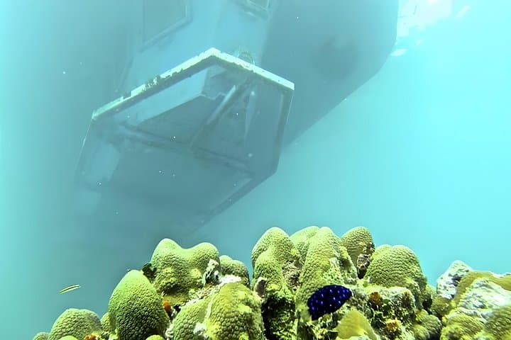 Full-Day Saona Island Excursion: Semi-Submarine, Snorkeling & Natural Pools from Punta Cana photo 4