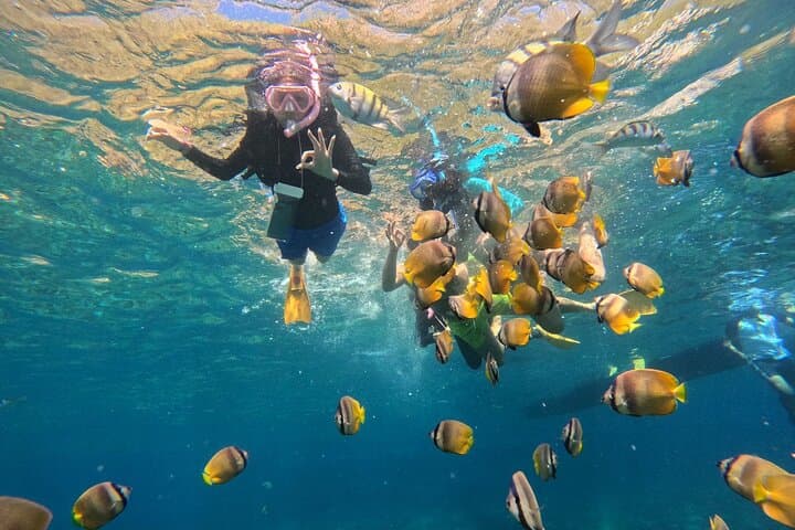 Blue Lagoon Snorkeling and Kanto Lampo Waterfall Day Trip from Padangbai