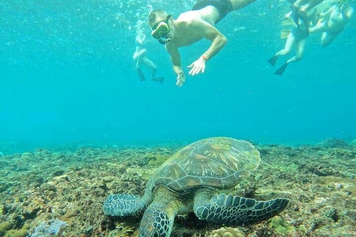 Blue Lagoon Snorkeling and Kanto Lampo Waterfall Day Trip from Padangbai photo 2