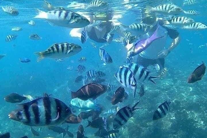Blue Lagoon Snorkeling and Kanto Lampo Waterfall Day Trip from Padangbai photo 5