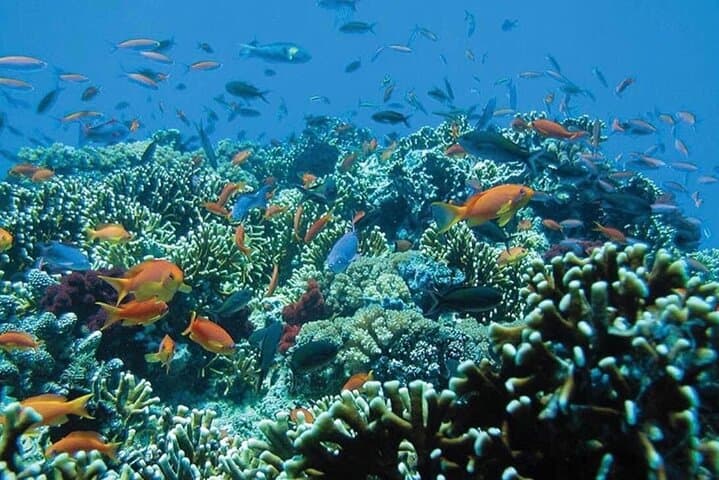 Blue Lagoon Snorkeling and Kanto Lampo Waterfall Day Trip from Padangbai photo 6