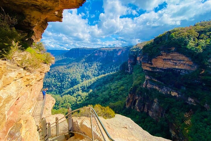 Blue Mountains Private Luxe Day Tour from Sydney — Wildlife, Waterfalls & Ferry Return photo 4