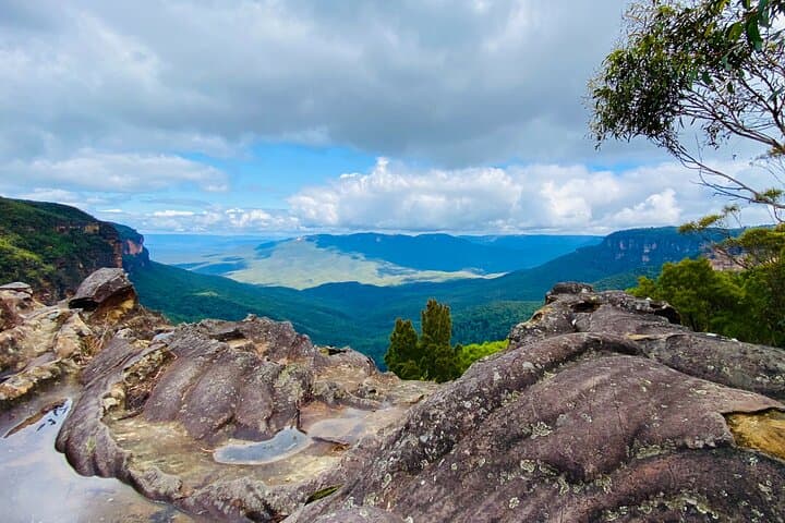 Blue Mountains Private Luxe Day Tour from Sydney — Wildlife, Waterfalls & Ferry Return photo 6