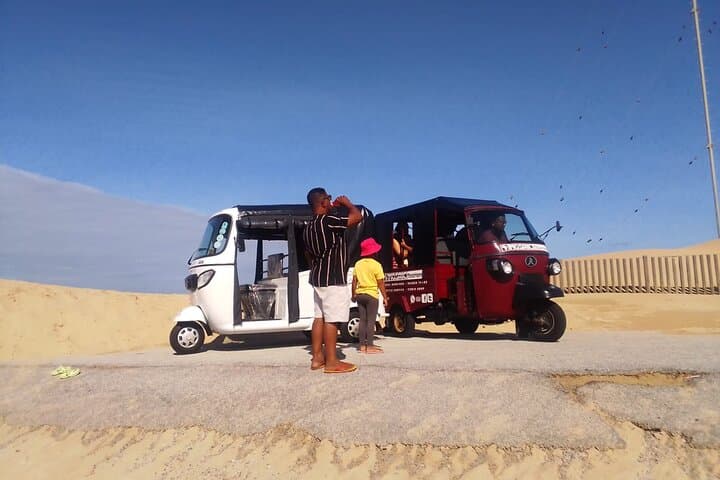 Gqeberha Tuk-Tuk Tour: SANCCOB Penguins, Cape Recife Lighthouse & Donkin Reserve