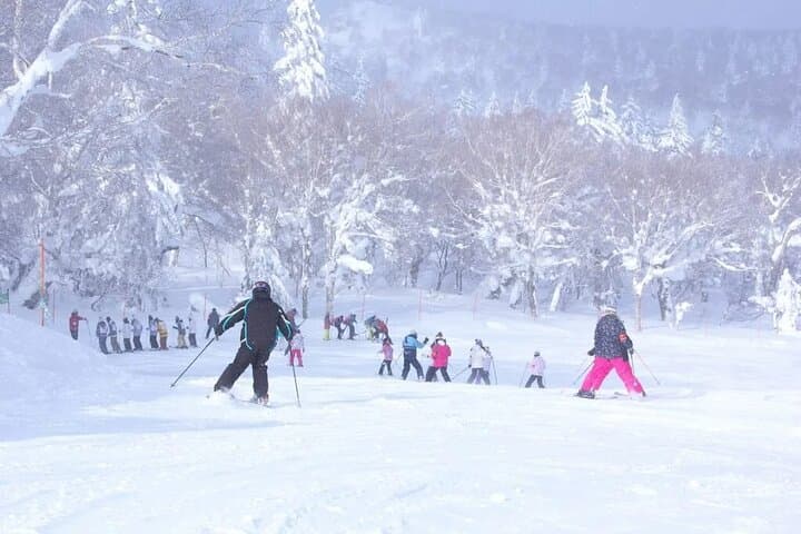 Bankei Ski Day Trip from Sapporo Station — Quick-Access Hokkaido Skiing photo 4