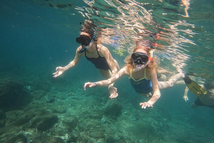 Snorkeling Musandam: Dibba Boat Trip to Coral Reefs & Lunch photo 3