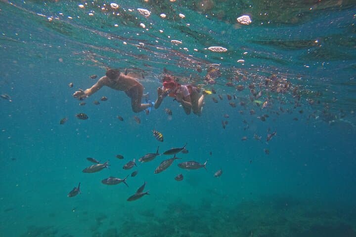 Snorkeling Musandam: Dibba Boat Trip to Coral Reefs & Lunch photo 4