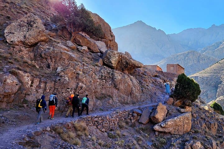 Half-Day Paradise Valley Excursion from Agadir — Argan Co-ops, Natural Pools & Cliff Jumps photo 6