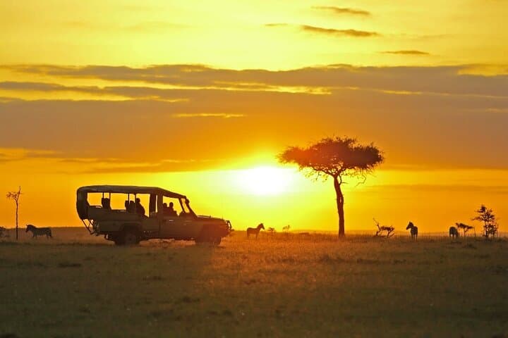 Night Game Drive in Nairobi National Park: Discover Nairobi's Nocturnal Wildlife photo 6