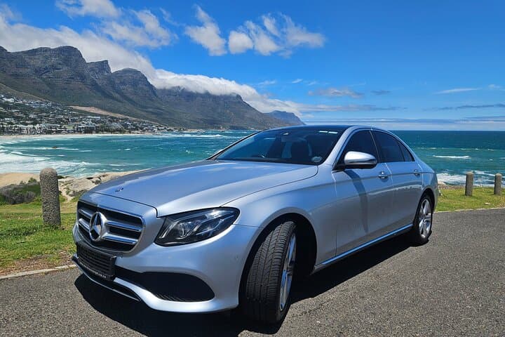 Cape Peninsula Full-Day Private Tour to Cape Point & Boulders Beach photo 6