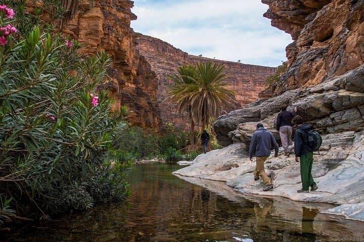 Amtoudi Oasis: 2-Day Berber Granaries & Ait Mansour Canyon Adventure photo 5