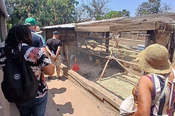 Hazyview Village Tour: Community Visits, Local Schools & Traditional Lunch photo 4