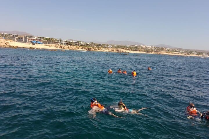 Private Snorkel Santa Maria and Chileno Bay — Los Cabos Marine Adventure photo 3