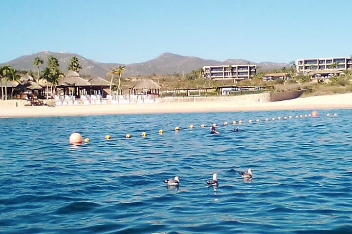 Private Snorkel Santa Maria and Chileno Bay — Los Cabos Marine Adventure photo 4