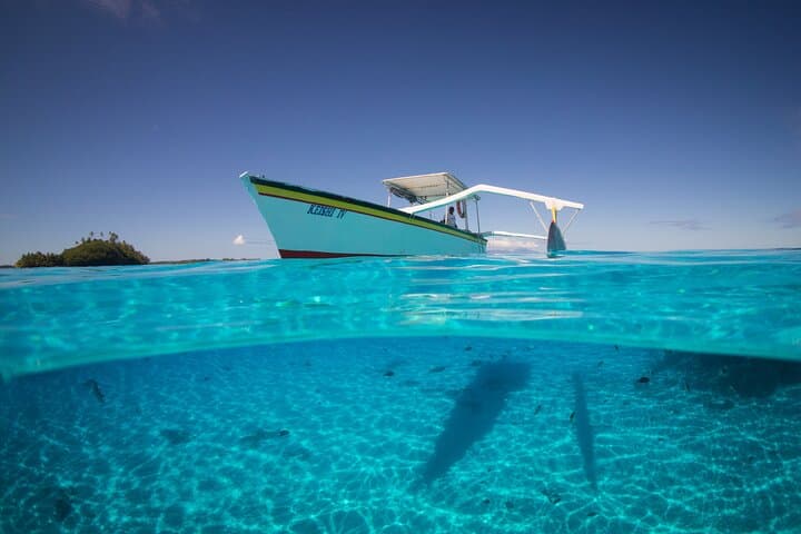 Half-Day Keishi Lagoon Tour: Snorkel with Sharks & Rays in Bora Bora photo 3