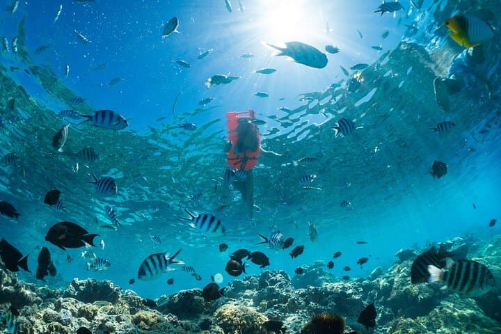 Half-Day Keishi Lagoon Tour: Snorkel with Sharks & Rays in Bora Bora photo 5