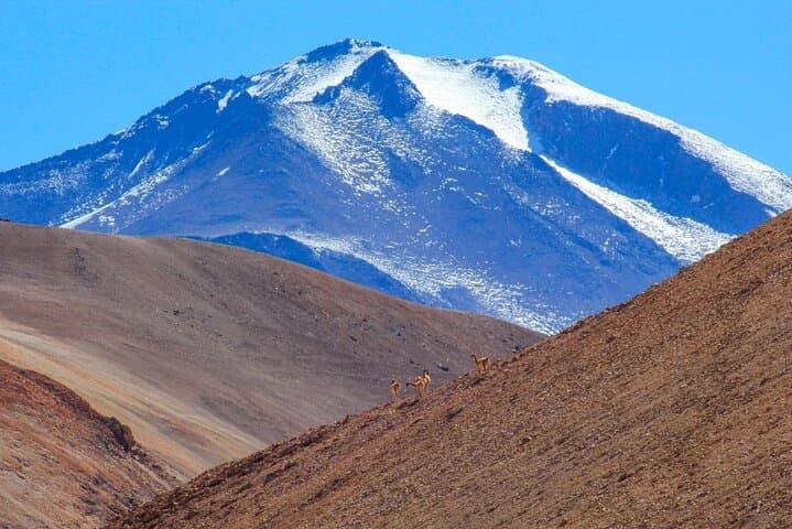 Summit Ojos del Salado: 5-Day Expedition to the World’s Highest Volcano photo 3