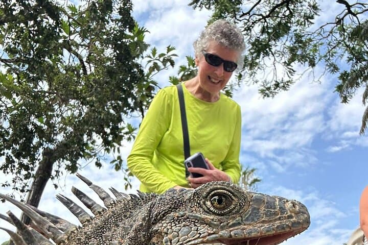 Guayaquil Highlights: Private Tour of Iguana Park, Malecón 2000 & Las Peñas photo 3