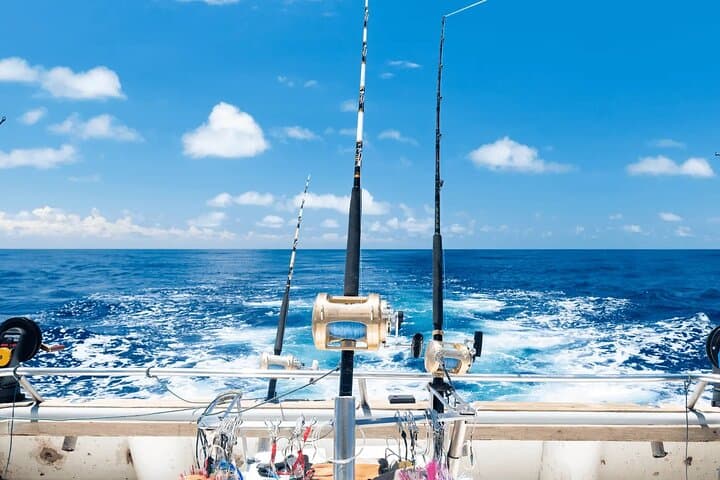 Bávaro Small-Group Deep-Sea Fishing Tour — Punta Cana Charter Guide