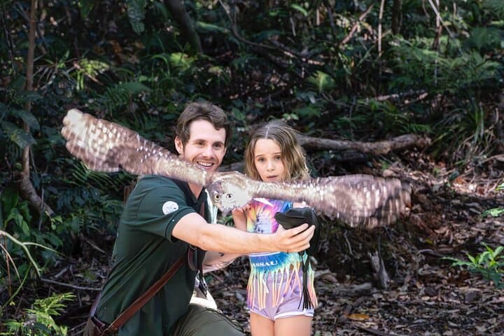 Buderim Forest Flight: Hands-On Owl Encounter on the Sunshine Coast photo 4