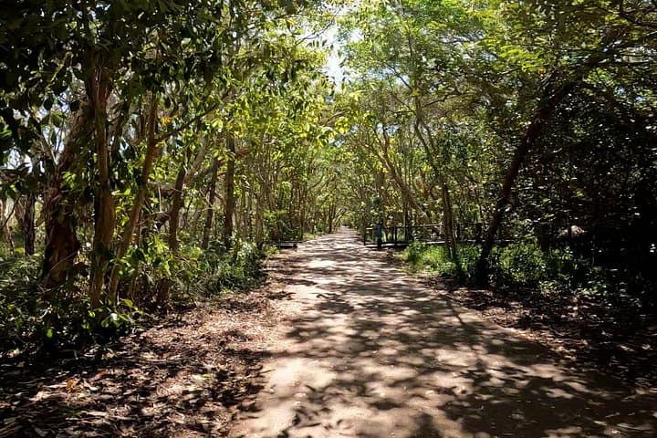 Sunshine Coast Easy‑Peasy Novotel North E‑Bike Tour — Mudjimba to Mount Coolum photo 2