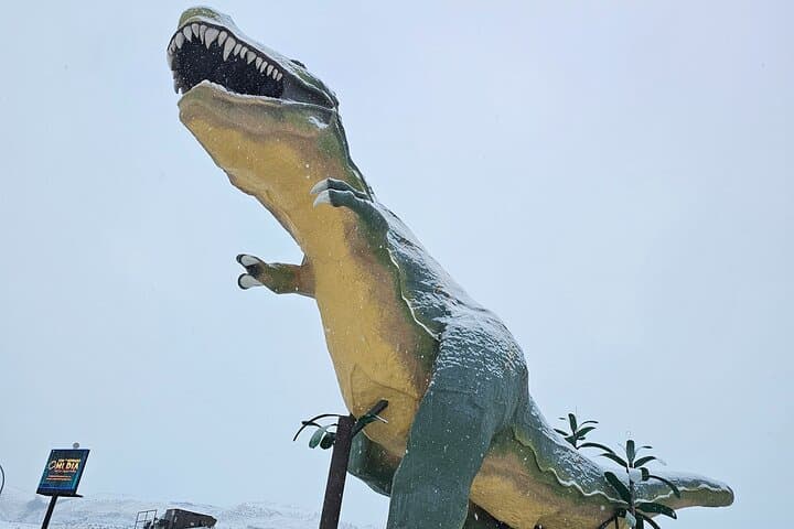 Drumheller Badlands Private Tour from Calgary — Royal Tyrrell, Hoodoos & Star Mine photo 6