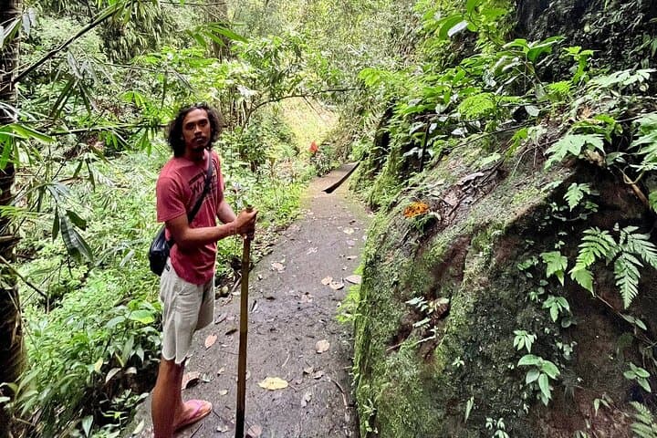 Customize Your Perfect Day in Ubud: Private Tour of Temples, Rice Terraces & Waterfalls photo 3