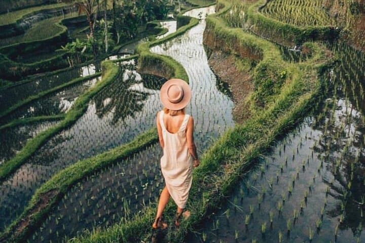 Customize Your Perfect Day in Ubud: Private Tour of Temples, Rice Terraces & Waterfalls photo 6