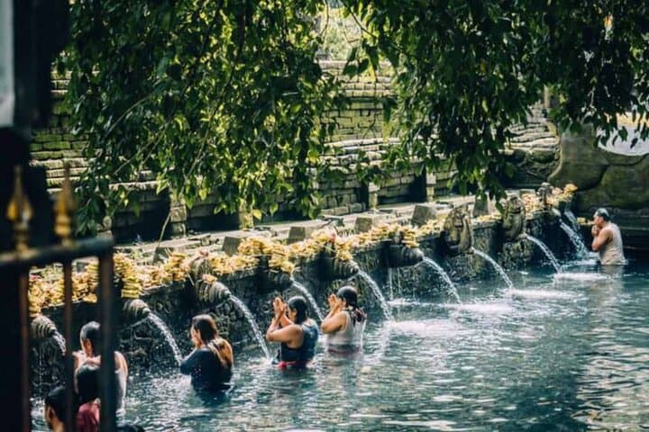Ubud Highlights: Tegalalang, Tirta Empul & Hidden Waterfalls Full-Day Tour photo 6
