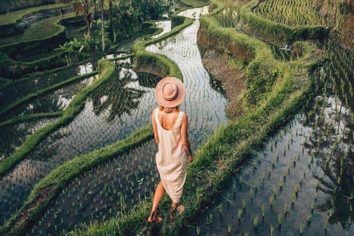 Ubud Highlights: Tegalalang, Tirta Empul & Hidden Waterfalls Full-Day Tour photo 3