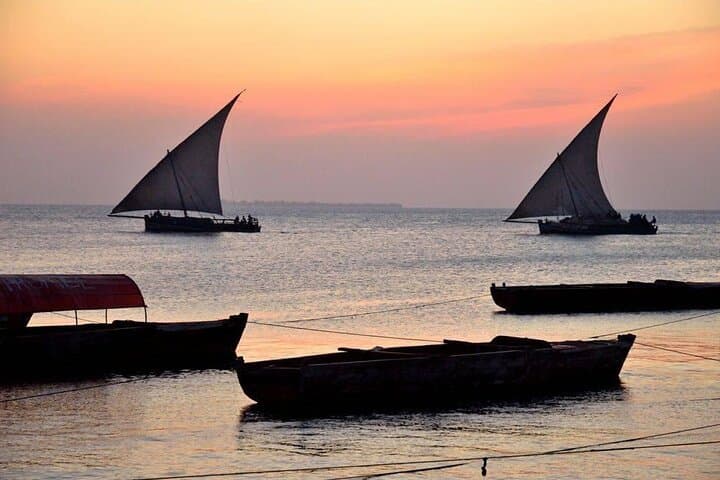 Tanzania Safari and Kilimanjaro Climb: 15-Day Safari & Summit Adventure