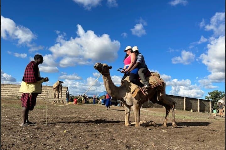 Tanzania Safari and Kilimanjaro Climb: 15-Day Safari & Summit Adventure photo 4