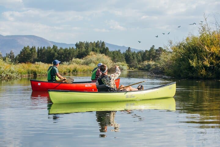 Lake Tahoe Eco Canoe Tour from Tahoe Keys Marina photo 2