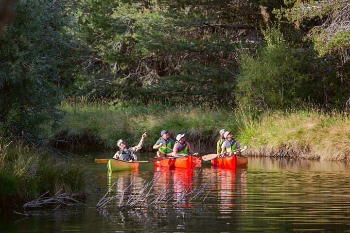 Lake Tahoe Eco Canoe Tour from Tahoe Keys Marina photo 3